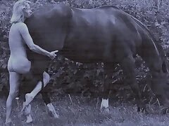 Porn Videos 5